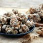 Chinese Panax Notoginseng Pseudo-ginseng 1000 Seeds