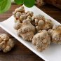 Chinese Panax Notoginseng Pseudo-ginseng 1000 Seeds