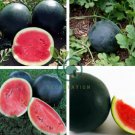 Big Black Yellow Skin Red Inside Watermelon 20 Seeds