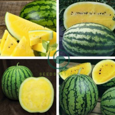 Yellow Watermelon Organic 16 Seeds