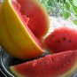 Watermelon 'Gift of the Sun' Yellow Skin Red Inside Fruit 40 Seeds