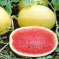 Watermelon 'Gift of the Sun' Yellow Skin Red Inside Fruit 40 Seeds
