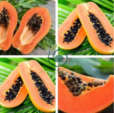 Yellow Papaya Yellow Skin Organic Fruit 12 Seeds