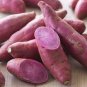 Purple Sweet Potato 200 Seeds
