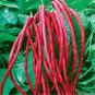 Red Long Cowpea Vegetable Hybrid 30 Seeds