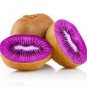 Rare Heirloom Organic Purple Kiwi Fruit 100 Seeds