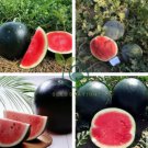 Hokkaido Black Watermelon 20 Seeds
