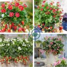 Tristan F1 Strawberry 200 Seeds