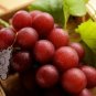 Pink Hongti Grape Organic 200 Seeds