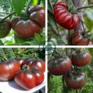 Giant Black Krim Tomato Hybrid F2 Vegetables 200 Seeds