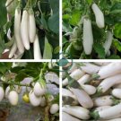 Asian White Eggplant 200 Seeds