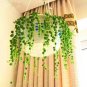 Green Chlorophytum Pearls Bonsai Hanging Potted Type 200 Seeds