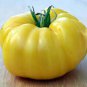 Dixie Golden Giant Tomato 400 Seeds