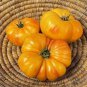 Dixie Golden Giant Tomato 400 Seeds