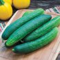Early Spring Burpless Hybrid Cucumber 100 Seeds