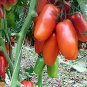 Heirloom Ukraine Kibits Tomato 100 Seeds