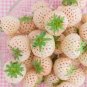 Rare White Strawberry 50 Seeds