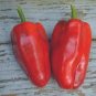 Heirloom Red Long Sharp Sweet Bell Pepper 40 Seeds