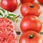 Rare Burpee's Big Boy Tomato Hybrid 200 Seeds