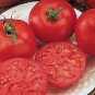 Rare Burpee's Big Boy Tomato Hybrid 200 Seeds
