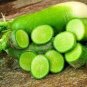 Sweet Green Radish Chinese Turnip Organic Green Vegetable 4 Seeds