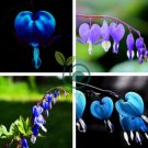 Dicentra Spectabilis Bleeding Heart Classic Cottage Garden Plant 200 Seeds