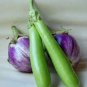 Green Fat Eggplant 120 Seeds