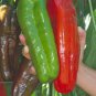 Heirloom Giant Marconi Pepper Organic 200 Seeds