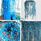 Succulents Flower Plants Beautiful 600 Seeds