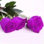 Rare Purple Green Rose Flower 100 Seeds