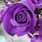 Rare Purple Green Rose Flower 100 Seeds