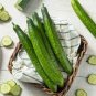 Fruit Cucumber Eaten Raw Vegetable 100 Seeds