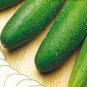 Fruit Cucumber Eaten Raw Vegetable 100 Seeds
