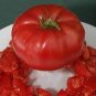 Italian Giant Tomato Tree 200 Seeds