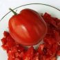 Italian Giant Tomato Tree 200 Seeds