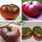 Heirloom Brandywine True Black Lycopersicon lycopersicum Tomato 200 Seeds