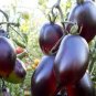 Big Black Tomato F1 400 Seeds