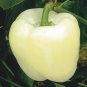 White Sweet Bell Pepper 400 Seeds