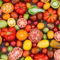 Mixed 27 Types of Different Tomato Family 200 Seeds
