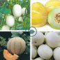 Sweet Melon White Hybrid Fruit 20 Seeds