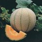 Sweet Melon White Hybrid Fruit 20 Seeds