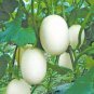 Sweet Melon White Hybrid Fruit 20 Seeds