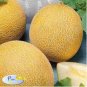 Rare Chinese Sweet Melon 40 Seeds