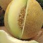 Rare Chinese Sweet Melon 40 Seeds