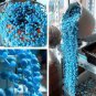 Blue Pearl Chlorophytum Bonsai 400 Seeds