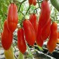 Red Banana Tomatoes 200 Seeds