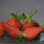 Fragaria Ananassa Rare Giant Flat Strawberry 200 Seeds