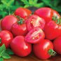 Heart-Shaped Tomatoberry Garden Tomato Hybrid 200 Seeds