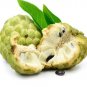 Sugar Apple Sweetsop Custard Apple Fruits 200 Seeds