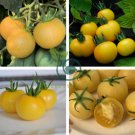 Wapsipinicon Peach Heirloom Tomato Bonsai 200 Seeds